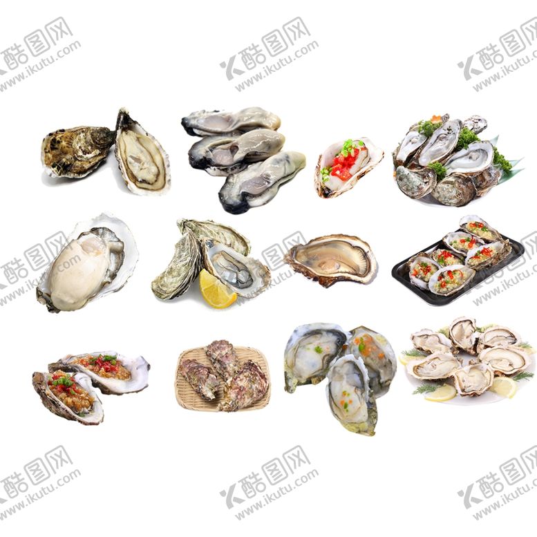 编号：67614207011335366898【酷图网】源文件下载-生蚝