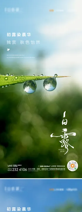 白露