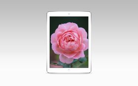 屏幕样机手app触手电子商务APP
