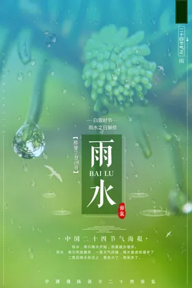 雨水