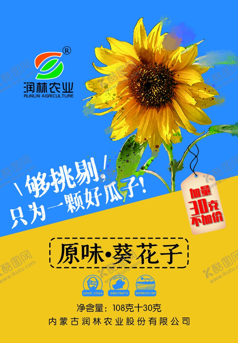 编号：42843910162326263491【酷图网】源文件下载-葵花籽