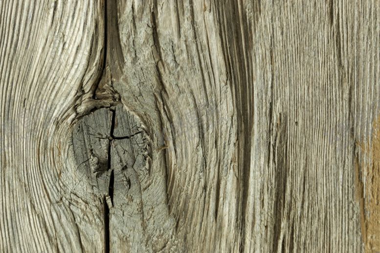 编号：88090905120201051640【酷图网】源文件下载-木纹