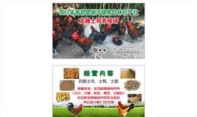 生态土鸡养殖场名片