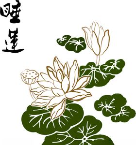 莲花图案