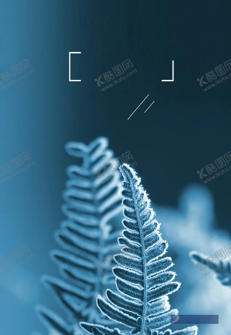 编号：58997404151827431061【酷图网】源文件下载-霜降背景