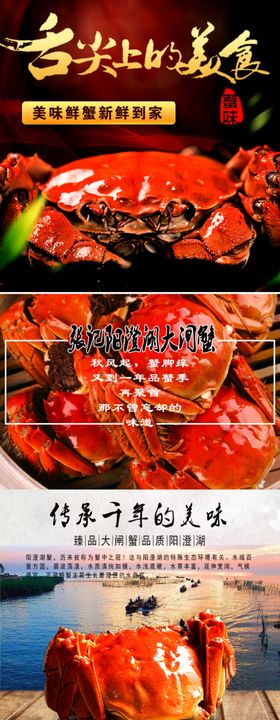 阳澄湖大闸蟹