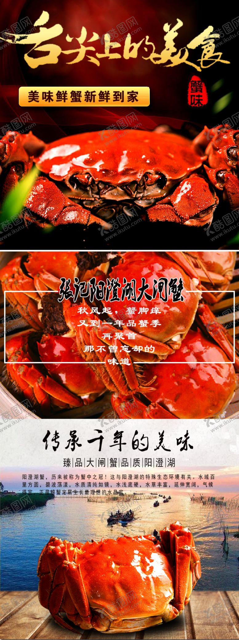 编号：64456410210357102801【酷图网】源文件下载-阳澄湖大闸蟹