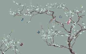 花鸟电视墙