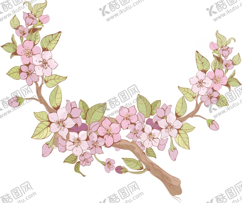 编号：91570609280346282136【酷图网】源文件下载-鲜花素材