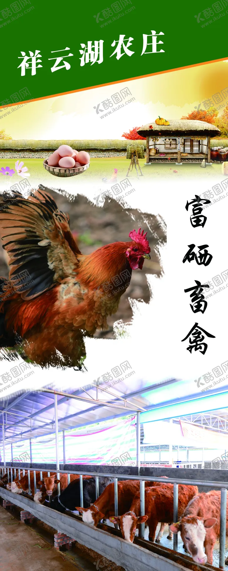 编号：42902312091239122460【酷图网】源文件下载-家禽展架