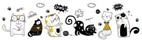 猫咪
