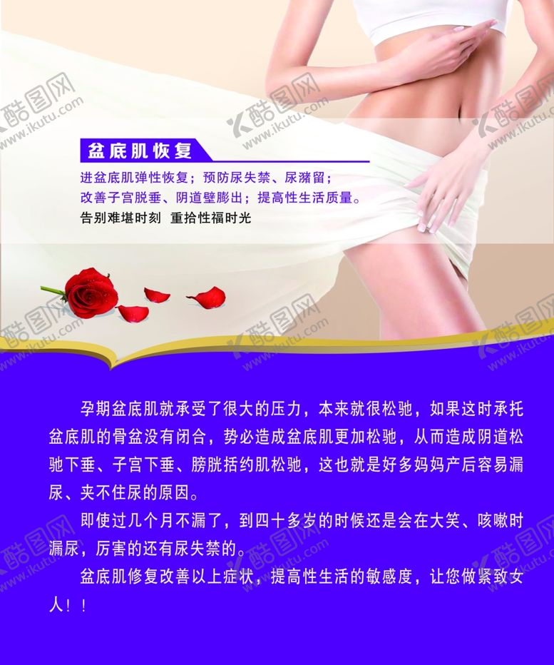 编号：53402705091601311776【酷图网】源文件下载-盆底肌的恢复