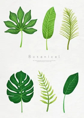 植物背景芭蕉叶手绘轻奢火烈鸟大理石墙