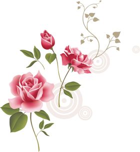 鲜花素材边纹底纹边框粉玫瑰康乃馨