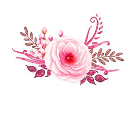 鲜花素材百合卉装饰