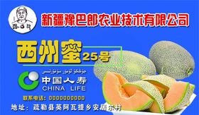 哈密瓜