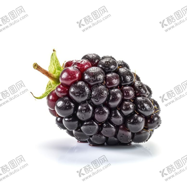 编号：34367411172320555148【酷图网】源文件下载-桑葚