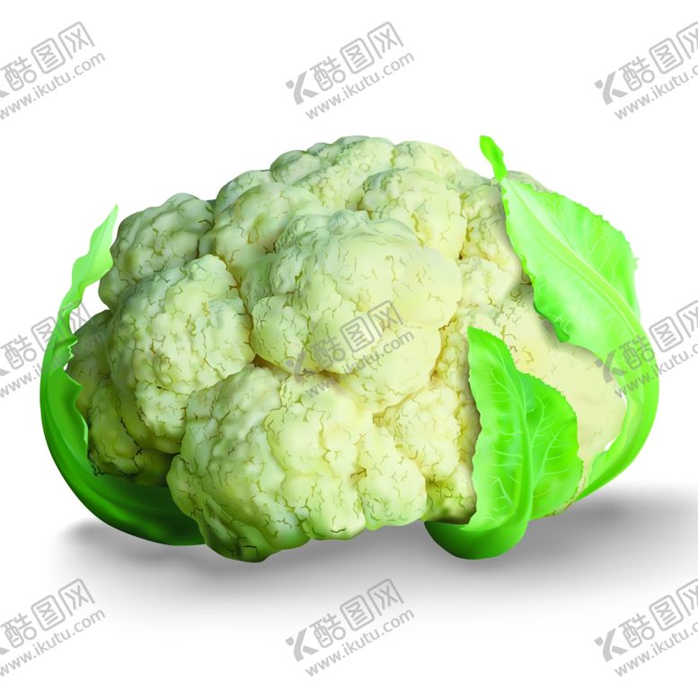 编号：89241609201852594147【酷图网】源文件下载-花菜