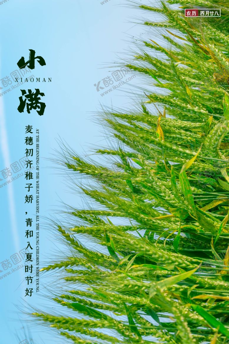 编号：61614209241508225118【酷图网】源文件下载-小满节气海报