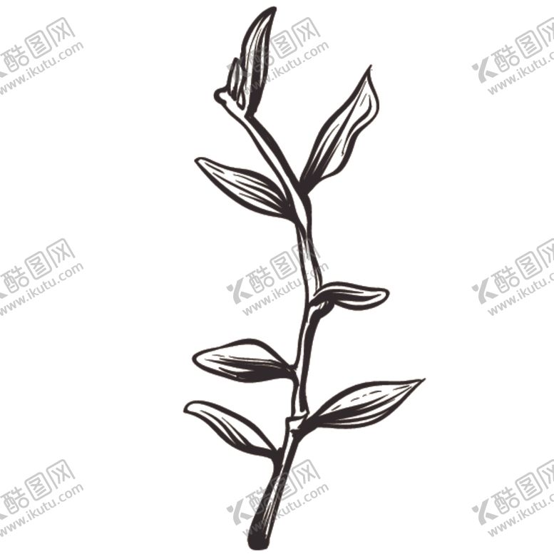 编号：86939807092204503232【酷图网】源文件下载-素描绘画植物花朵