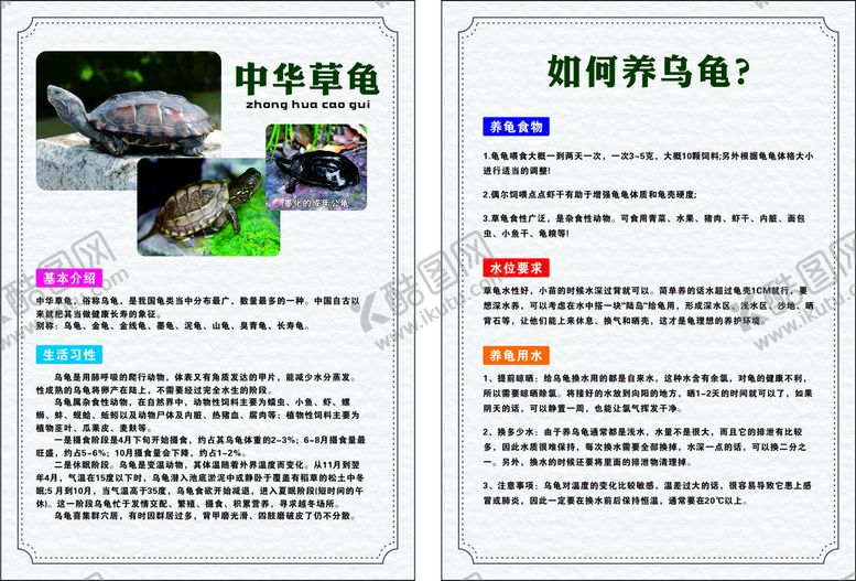 编号：45233501211247549823【酷图网】源文件下载-中华草龟宣传单