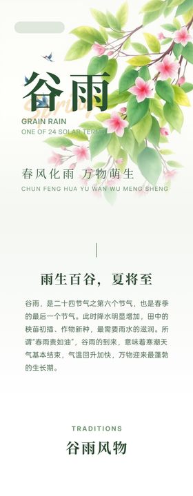 清爽谷雨节气长图海报