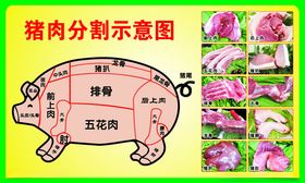 猪肉分割示意图