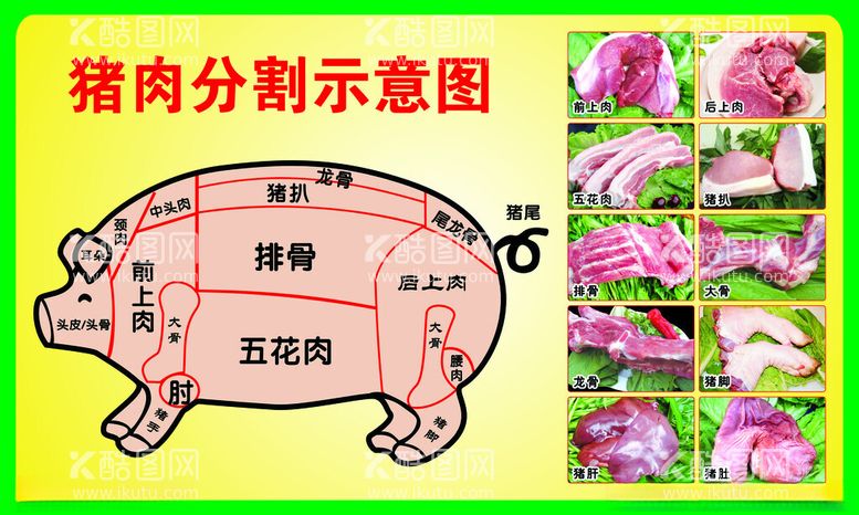 编号：50317212180725515262【酷图网】源文件下载-猪肉分割示意图