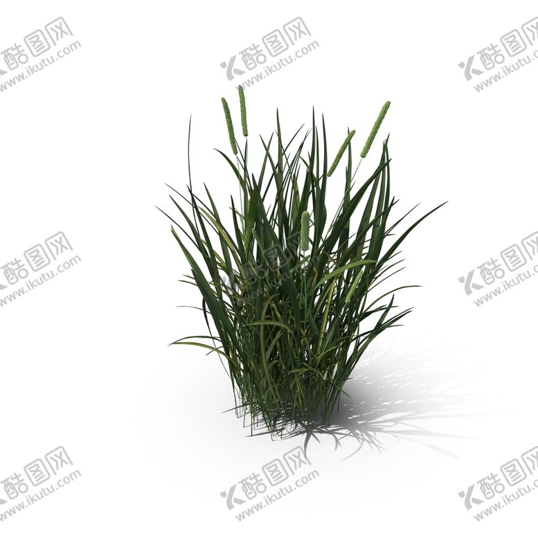 编号：43829009211357339132【酷图网】源文件下载-花草