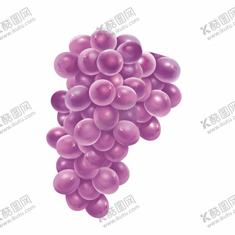 编号：36857209161733283604【酷图网】源文件下载-葡萄