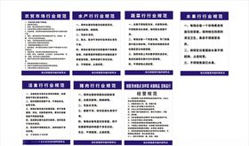市场规范