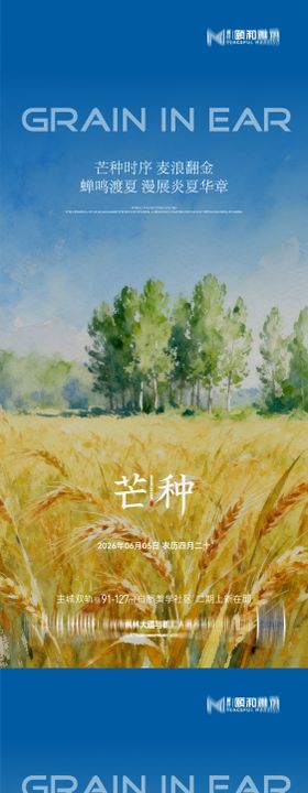 芒种二十四节气节日海报麦芒麦田
