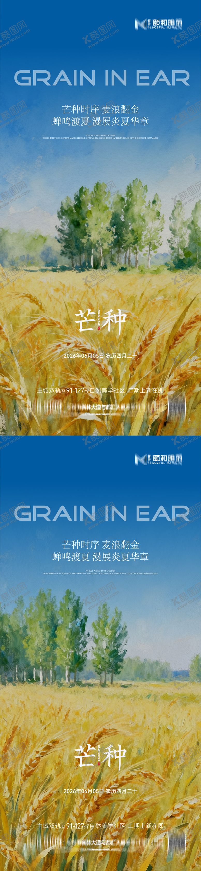 编号：10321105250123462553【酷图网】源文件下载-芒种二十四节气节日海报麦芒麦田