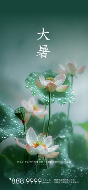 大暑节气