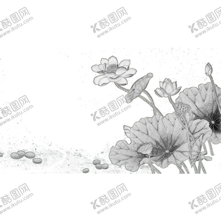 编号：39089509140358331696【酷图网】源文件下载-水墨荷花