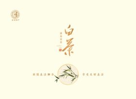 安吉白茶分层图
