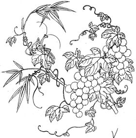 葡萄酒葡萄藤葡萄叶