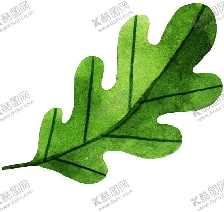 编号：53791210061346114443【酷图网】源文件下载-手绘植物叶片