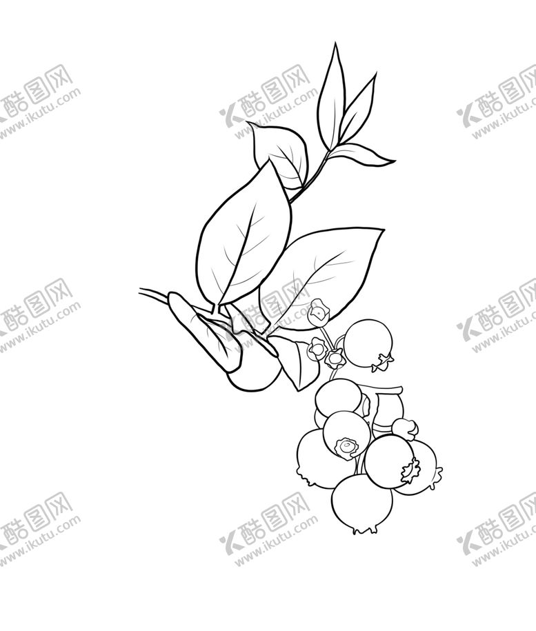 编号：89516709180407491451【酷图网】源文件下载-蓝莓