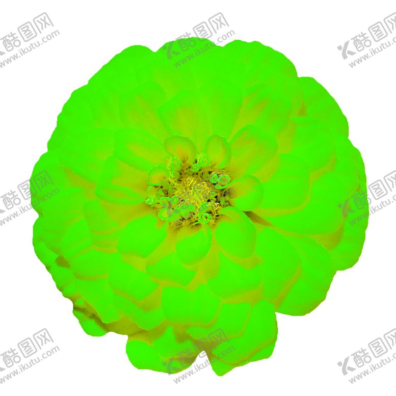 编号：70334706172211323228【酷图网】源文件下载-花素材