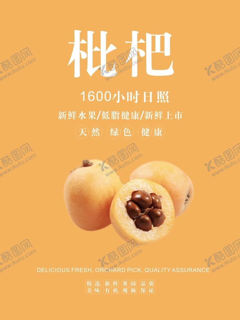 编号：97070101260144312631【酷图网】源文件下载-枇杷海报
