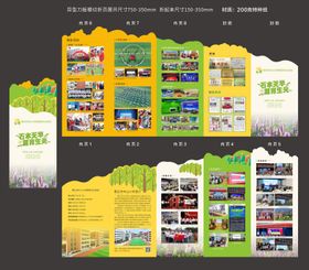 小学学校宣传异形五折页