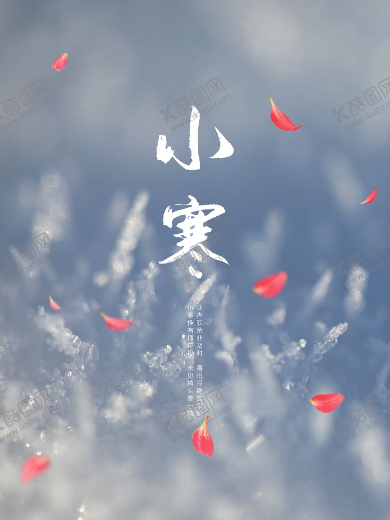 编号：81991304072018395854【酷图网】源文件下载-唯美24节气小寒宣传海报