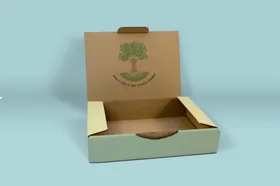 产品包装盒食纸子纸箱礼素材