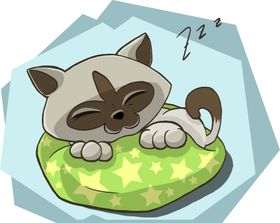 猫咪睡觉