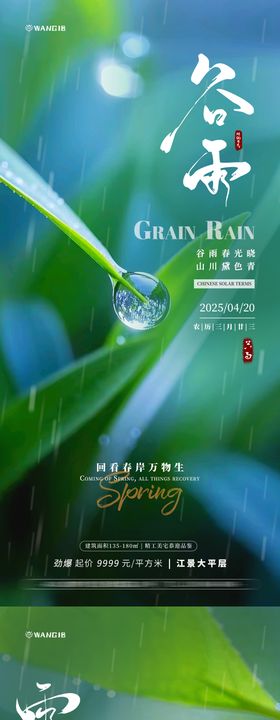 雨水谷雨植物海报