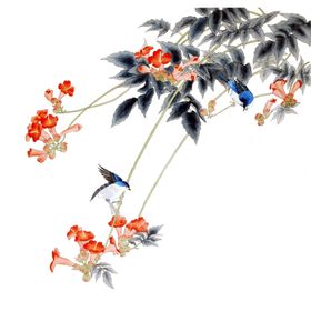 鸟红花