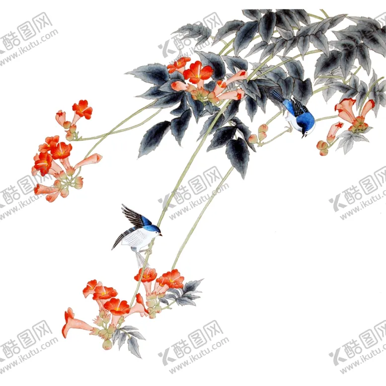 编号：71802406272333507083【酷图网】源文件下载-鸟红花