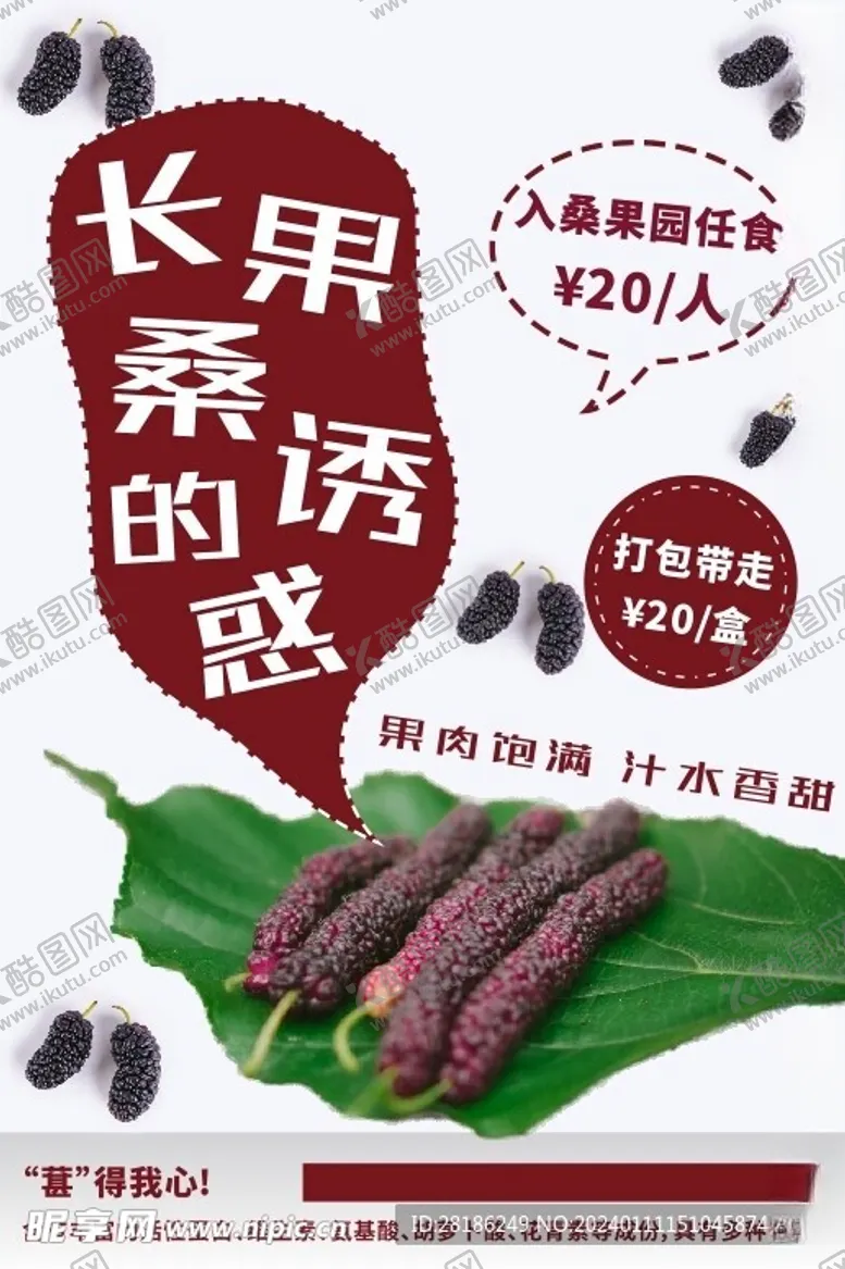 编号：16701611302309516673【酷图网】源文件下载-果园采摘蔬菜水果桑葚海报