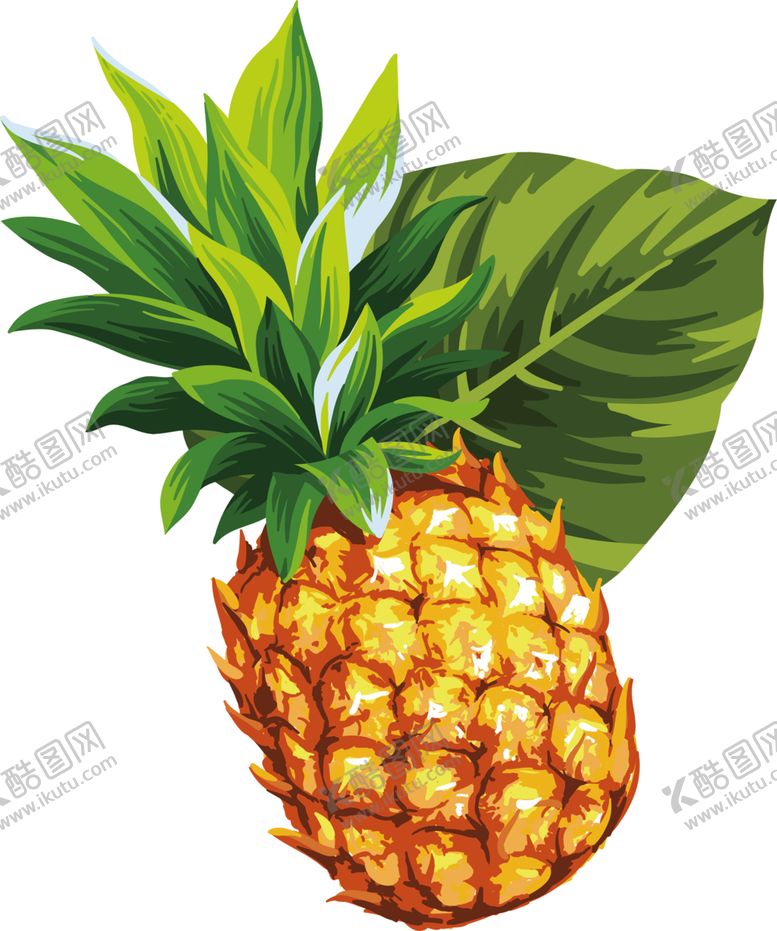 编号：89176811011838431500【酷图网】源文件下载-水果